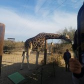 out of africa wildlife park reviews