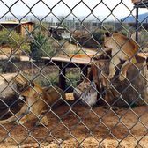 out of africa wildlife park reviews
