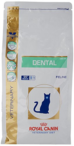 royal canin dental cat review