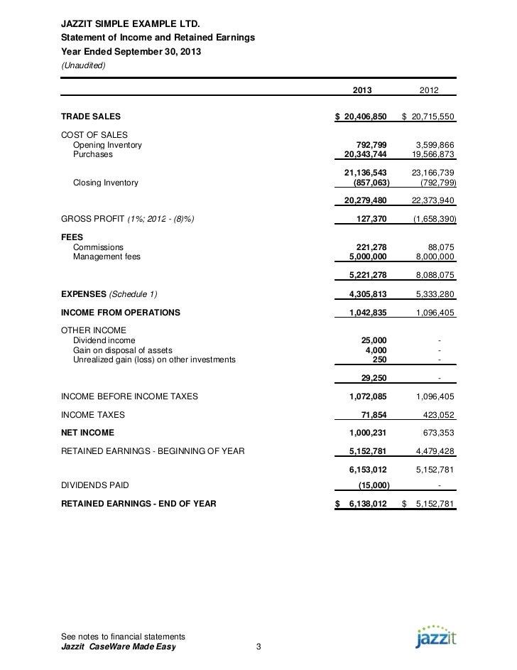 sample review engagement financial statements